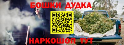 шишки Краснознаменск