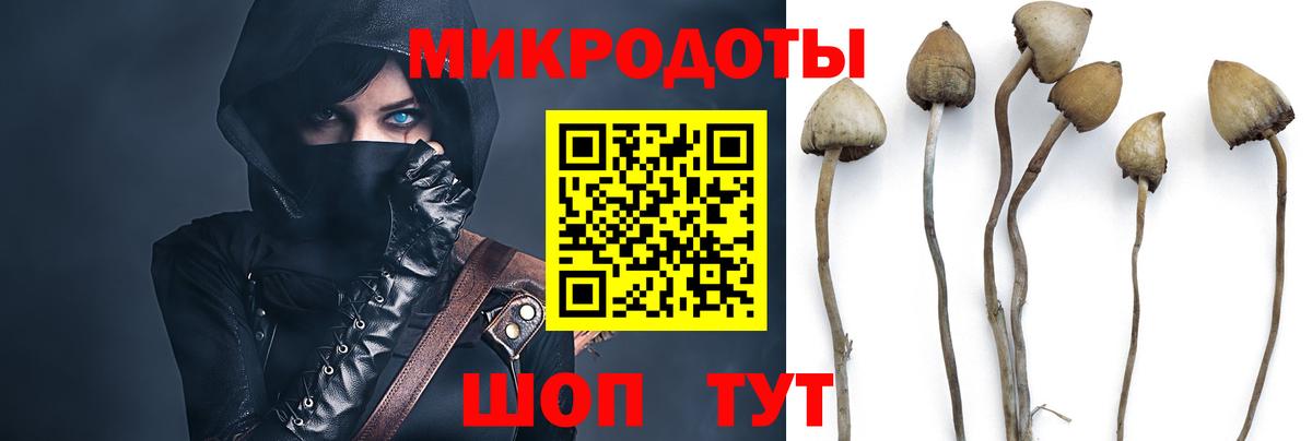 Псилоцибиновые грибы прущие грибы Чайковский